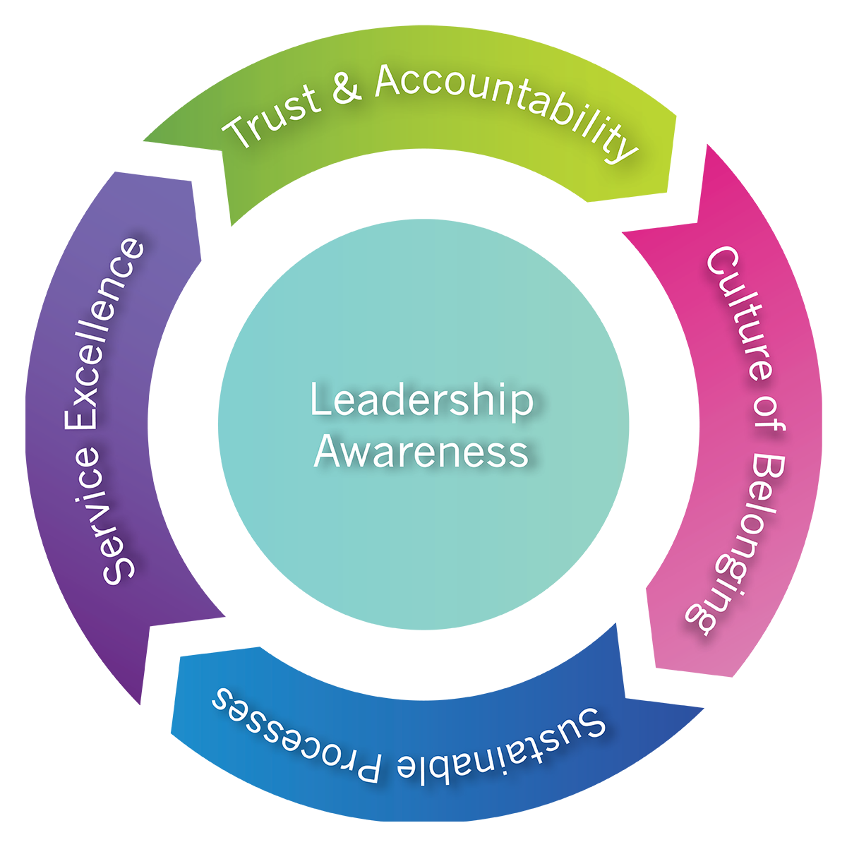 Five colours wheel diagram showing Elizabeth Hesp's leadership coaching outcome for organizational leaders