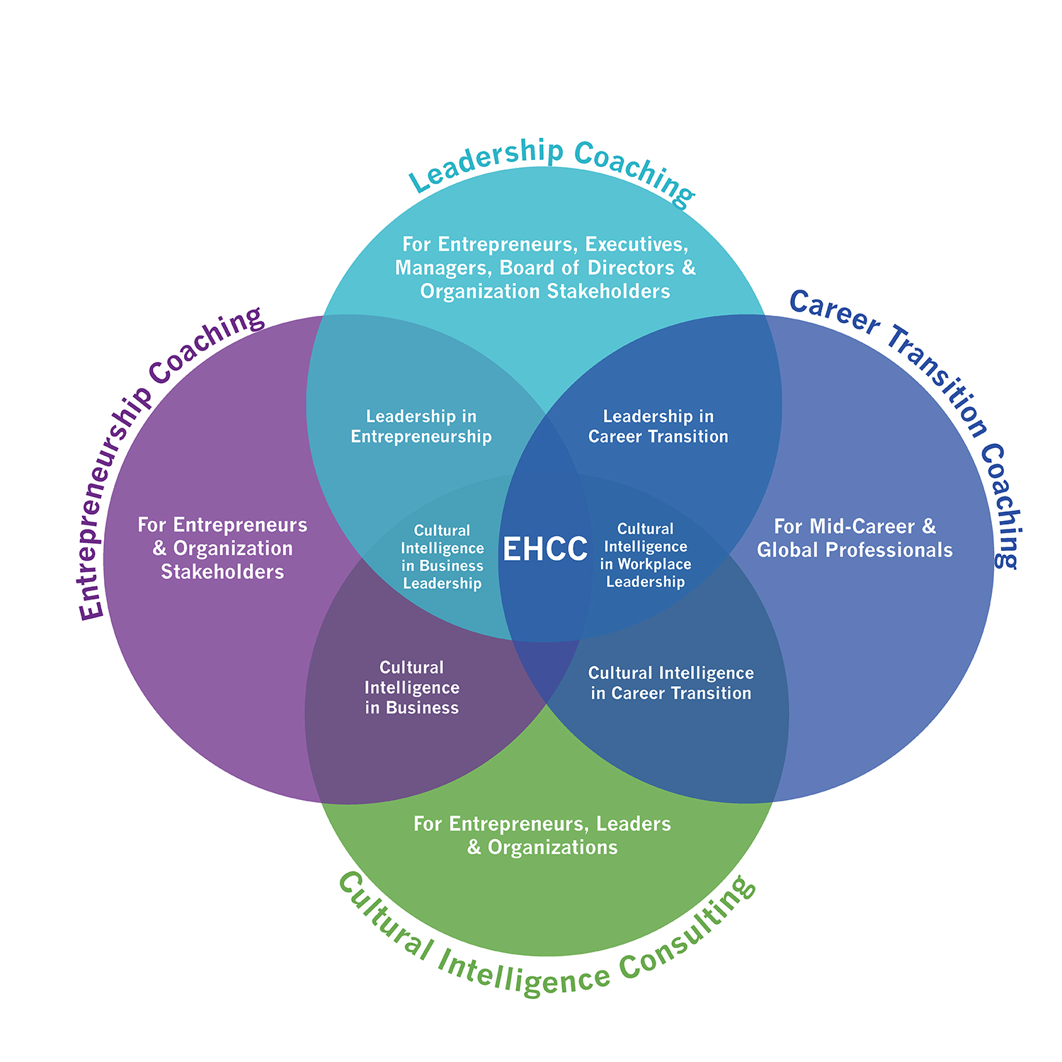 Multi-colored Venn diagram showing the different coaching and consulting services provided by Elizabeth Hesp