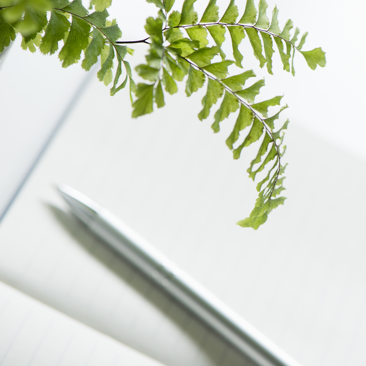 Fern plant, notebook and pen displayed on white table ready for a coaching session